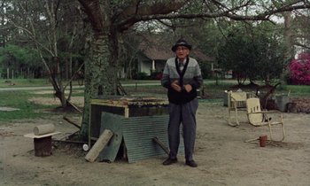 Movie still from “Vernon, Florida” (1981), directed by Errol Morris – An old man standing in the dirt near a tree; Wide shot, Low angle