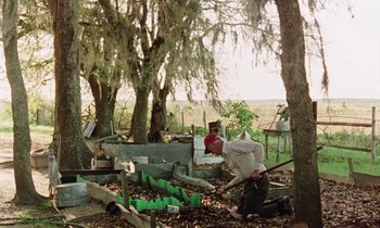 Movie still from “Vernon, Florida” (1981), directed by Errol Morris – A man and a woman working in a field; Wide shot, High angle