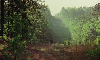 Movie still from “Vernon, Florida” (1981), directed by Errol Morris – A person riding a bike through a forest on a dirt road; Extreme Wide shot, High angle