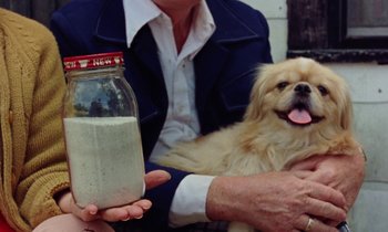 Movie still from “Vernon, Florida” (1981), directed by Errol Morris – A person holding a jar of milk with a dog sitting next to it; Close Up shot, High angle