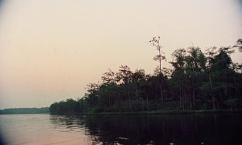 Movie still from “Vernon, Florida” (1981), directed by Errol Morris – A body of water surrounded by trees and bushes; Extreme Wide shot, Low angle