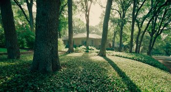 Movie still from “Voyage of Time” (2016), directed by Terrence Malick – A house surrounded by trees in the middle of a forest; Extreme Wide shot, High angle