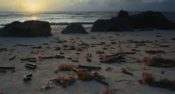 Movie still from “Voyage of Time” (2016), directed by Terrence Malick – The sun is setting on a beach with seaweed on the sand; Extreme Wide shot, High angle
