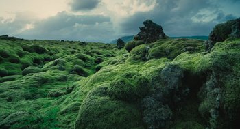 Movie still from “Voyage of Time” (2016), directed by Terrence Malick – A large amount of green moss on a hillside; Extreme Wide shot, High angle