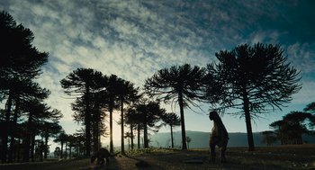 Movie still from “Voyage of Time” (2016), directed by Terrence Malick – An animal standing in the middle of a forest; Extreme Wide shot, Low angle
