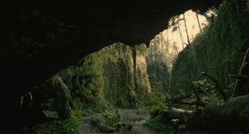 Movie still from “Voyage of Time” (2016), directed by Terrence Malick – A view from inside a cave in the woods; Extreme Wide shot, Low angle