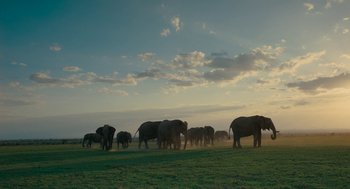 Movie still from “Voyage of Time” (2016), directed by Terrence Malick – A herd of elephants walking across a lush green field; Extreme Wide shot, Low angle