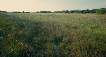 Movie still from “Voyage of Time” (2016), directed by Terrence Malick – A grassy field with trees in the background; Extreme Wide shot, High angle