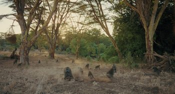 Movie still from “Voyage of Time” (2016), directed by Terrence Malick – A herd of wild animals in the middle of a field; Extreme Wide shot, High angle