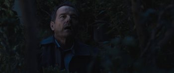 Movie still from “Wakefield” (2016), directed by Robin Swicord – A man standing next to a bush in the dark; Close Up shot, Low angle