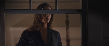 Movie still from “Wakefield” (2016), directed by Robin Swicord – A woman in a suit looking out of a window; Medium shot, Low angle