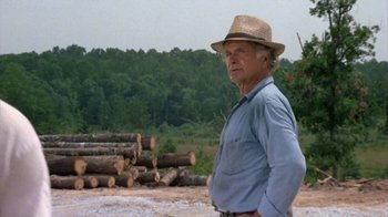 Movie still from “Walking Tall” (1973), directed by Phil Karlson – An older man wearing a straw hat standing in front of a pile of logs; Medium shot, Over the shoulder angle
