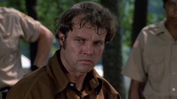 Movie still from “Walking Tall” (1973), directed by Phil Karlson – A person wearing a brown shirt; Close Up shot, Low angle
