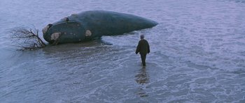 Movie still from “Whale Rider” (2002), directed by Niki Caro – A man walking in the water next to an animal in the water; Extreme Wide shot, High angle
