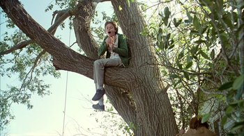 Movie still from “What's Eating Gilbert Grape” (1993), directed by Lasse Hallström – A man sitting on a tree branch with his hands clasped; Wide shot, Low angle