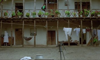Movie still from “Where Is the Friend's House?” (1987), directed by Abbas Kiarostami – A man standing on a balcony next to plants; Wide shot, Low angle