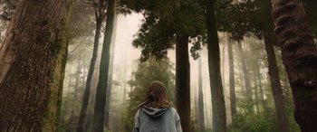 Movie still from “Wildling” (2018), directed by Fritz Böhm – A person walking through the woods in the fog; Wide shot, Low angle