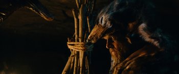 Movie still from “Wildling” (2018), directed by Fritz Böhm – A man with a beard and a long beard is standing in front of a bunch of sticks; Close Up shot, Over the shoulder angle