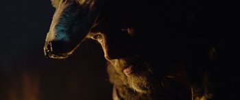 Movie still from “Wildling” (2018), directed by Fritz Böhm – A person with a beard; Extreme Close Up shot, Low angle