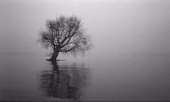 Movie still from “Wings of Desire” (1987), directed by Wim Wenders – A lone tree in the middle of a body of water; Extreme Wide shot, Low angle