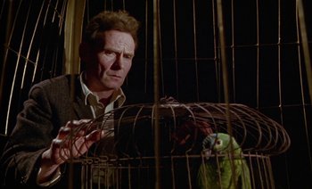 Movie still from “Wittgenstein” (1993), directed by Derek Jarman – A man holding a bird in a cage; Close Up shot, Low angle