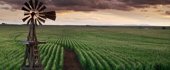 Movie still from “Wyatt Earp” (1994), directed by Lawrence Kasdan – An umbrella in the middle of a green field under a cloudy sky; Extreme Wide shot, High angle