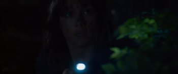 Movie still from “You're Next” (2011), directed by Adam Wingard – A woman with a flashlight in her hand looking at the camera; Close Up shot, Low angle
