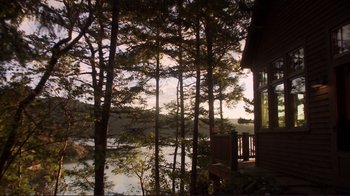 Movie still from “Your Sister's Sister” (2011), directed by Lynn Shelton – A view of a body of water through trees; Extreme Wide shot, High angle
