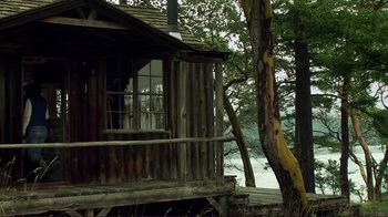 Movie still from “Your Sister's Sister” (2011), directed by Lynn Shelton – An old wooden cabin with a tree in front of it; Extreme Wide shot, Low angle