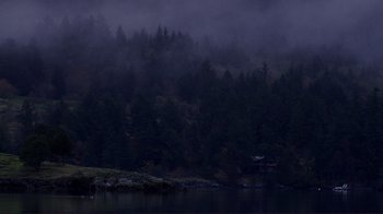 Movie still from “Your Sister's Sister” (2011), directed by Lynn Shelton – A body of water surrounded by a forest of green trees; Extreme Wide shot, High angle