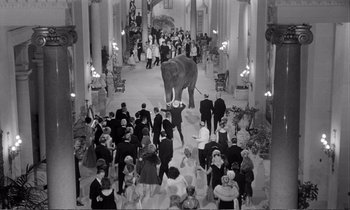 Movie still from “Yoyo” (1965), directed by Pierre Étaix – An elephant walking through a crowd of people; Extreme Wide shot, High angle