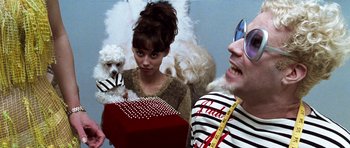 Movie still from “Zoolander” (2001), directed by Ben Stiller – A man and a woman holding a box with a dog in front of them; Medium shot, Over the shoulder angle