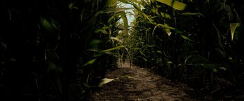 Movie still from “Superman Returns” (2006), directed by Bryan Singer – A dirt path through a field of tall green plants; Extreme Wide shot, High angle