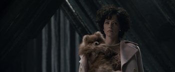 Movie still from “Superman Returns” (2006), directed by Bryan Singer – A woman holding a small dog in her arms; Close Up shot, Low angle