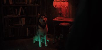 Movie still from “Hubie Halloween” (2020), directed by Steven Brill – Medium shot, High angle