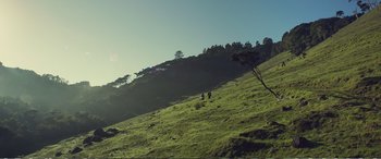 Movie still from “Hunt for the Wilderpeople” (2016), directed by Taika Waititi – Two people are walking up a grassy hill; Extreme Wide shot, Low angle