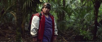 Movie still from “Hunt for the Wilderpeople” (2016), directed by Taika Waititi – A young boy wearing a baseball cap and a jacket; Medium shot, Low angle