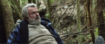 Movie still from “Hunt for the Wilderpeople” (2016), directed by Taika Waititi – An older man sitting in the woods looking up at the sky; Close Up shot, Low angle