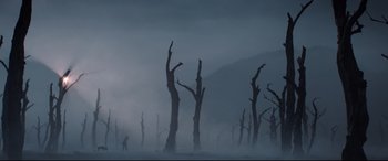 A person standing in the middle of a foggy forest