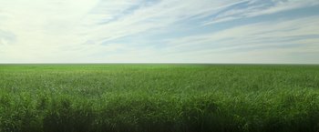 Movie still from “In the Tall Grass” (2019), directed by Vincenzo Natali – Extreme Wide shot, Low angle