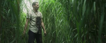 Movie still from “In the Tall Grass” (2019), directed by Vincenzo Natali – Medium shot, Low angle