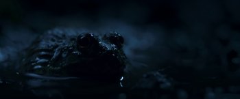 Movie still from “In the Tall Grass” (2019), directed by Vincenzo Natali – Extreme Close Up shot, Low angle