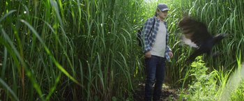 Movie still from “In the Tall Grass” (2019), directed by Vincenzo Natali – A man standing next to a field of tall grass; Wide shot, Low angle