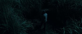 Movie still from “In the Tall Grass” (2019), directed by Vincenzo Natali – A man standing in the grass at night; Wide shot, High angle