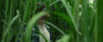 Movie still from “In the Tall Grass” (2019), directed by Vincenzo Natali – A man standing in tall green grass looking up; Close Up shot, Low angle