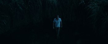 Movie still from “In the Tall Grass” (2019), directed by Vincenzo Natali – A man walking in the dark near tall grass; Extreme Wide shot, Overhead angle