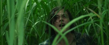 Movie still from “In the Tall Grass” (2019), directed by Vincenzo Natali – A man with glasses is in the tall grass; Close Up shot, Low angle