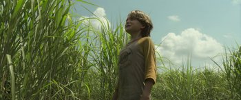 Movie still from “In the Tall Grass” (2019), directed by Vincenzo Natali – A young boy standing in tall grass looking up at the sky; Medium shot, Low angle