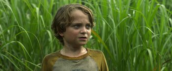 Movie still from “In the Tall Grass” (2019), directed by Vincenzo Natali – A young boy standing in front of tall green grass; Close Up shot, Low angle