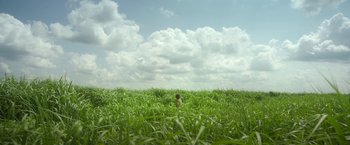 Movie still from “In the Tall Grass” (2019), directed by Vincenzo Natali – A person standing in the middle of a grassy field under a cloudy blue sky; Extreme Wide shot, Low angle